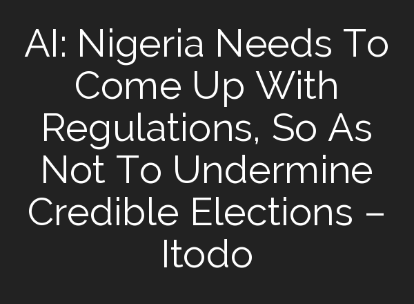 <b>AI</b>: Nigeria Needs To Come Up With Regulations, So As Not To Undermine Credible Elections – Itodo