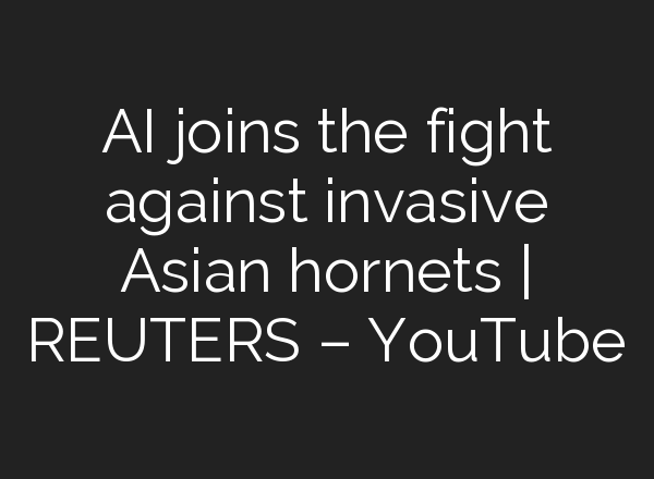 <b>AI</b> joins the fight against invasive Asian hornets | REUTERS – YouTube
