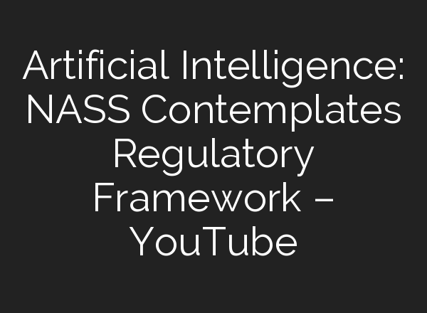 Artificial Intelligence: NASS Contemplates Regulatory Framework – YouTube