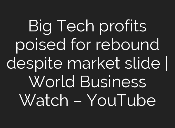 Big Tech profits poised for rebound despite market slide | World Business Watch – YouTube