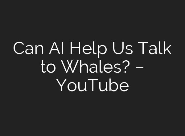 Can <b>AI</b> Help Us Talk to Whales? – YouTube