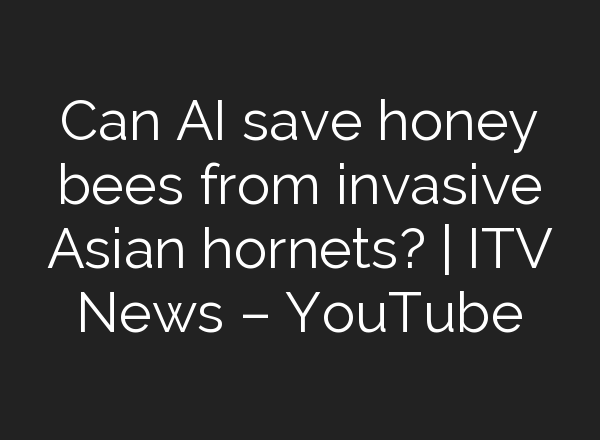 Can <b>AI</b> save honey bees from invasive Asian hornets? | ITV News – YouTube