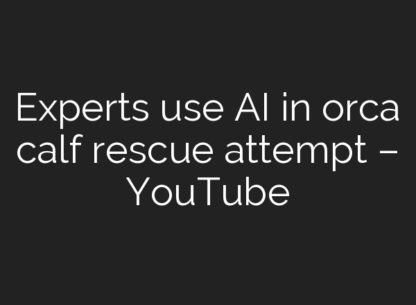 Experts use <b>AI</b> in orca calf rescue attempt – YouTube