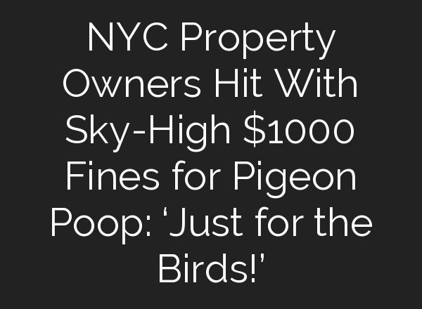 NYC Property Owners Hit With Sky-High $1000 Fines for Pigeon Poop: ‘Just for the Birds!’