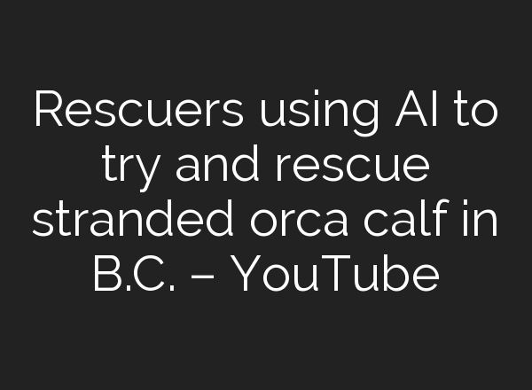 Rescuers using <b>AI</b> to try and rescue stranded orca calf in B.C. – YouTube