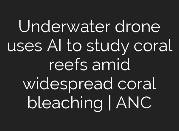 Underwater drone uses <b>AI</b> to study coral reefs amid widespread coral bleaching | ANC