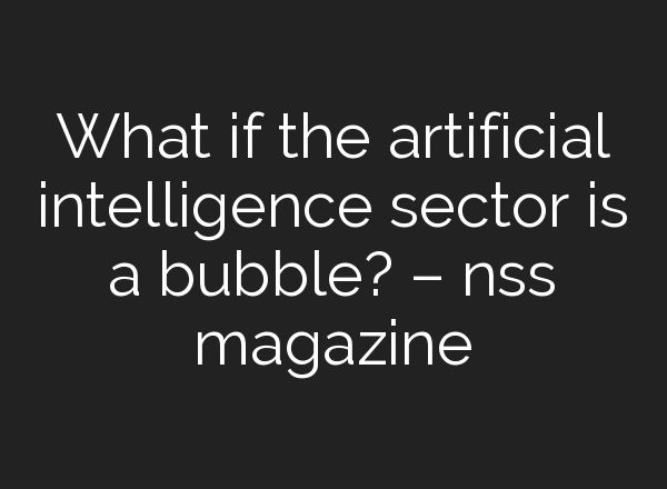 What if the artificial intelligence sector is a bubble? – nss magazine