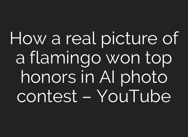 How a real picture of a flamingo won top honors in <b>AI</b> photo contest – YouTube