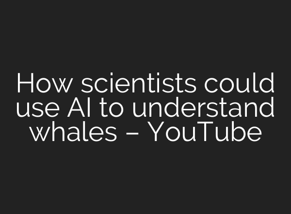 How scientists could use <b>AI</b> to understand whales – YouTube