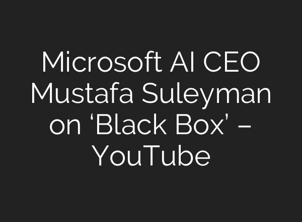 Microsoft <b>AI</b> CEO Mustafa Suleyman on ‘Black Box’ – YouTube