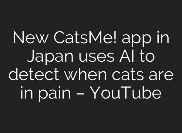 New CatsMe! app in Japan uses <b>AI</b> to detect when cats are in pain – YouTube