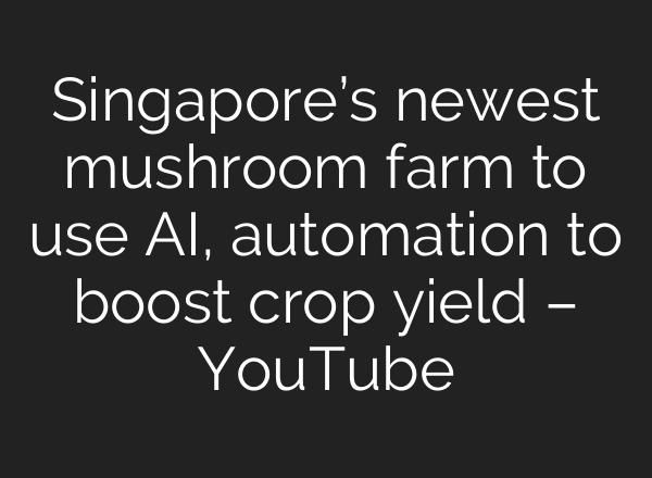 Singapore’s newest mushroom farm to use <b>AI</b>, automation to boost crop yield – YouTube