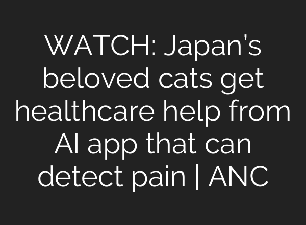 WATCH: Japan’s beloved cats get healthcare help from <b>AI</b> app that can detect pain | ANC