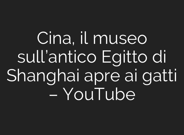 Cina, il museo sull’antico Egitto di Shanghai apre <b>ai</b> gatti – YouTube