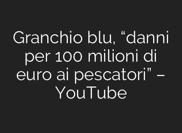 Granchio blu, “danni per 100 milioni di euro <b>ai</b> pescatori” – YouTube