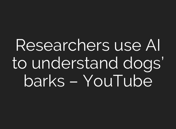 Researchers use <b>AI</b> to understand dogs’ barks – YouTube