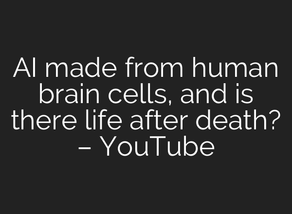<b>AI</b> made from human brain cells, and is there life after death? – YouTube