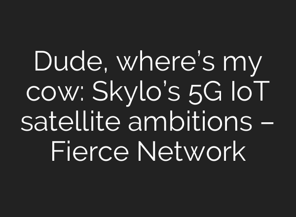 Dude, where’s my cow: Skylo’s 5G IoT satellite ambitions – Fierce Network