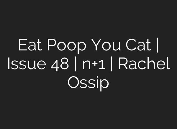 Eat Poop You Cat | Issue 48 | n+1 | Rachel Ossip