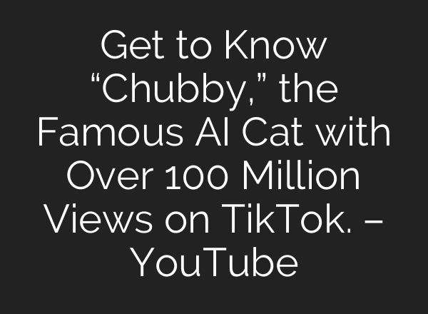 Get to Know “Chubby,” the Famous <b>AI</b> Cat with Over 100 Million Views on TikTok. – YouTube