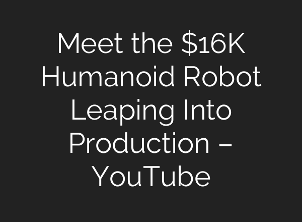 Meet the $16K Humanoid Robot Leaping Into Production – YouTube