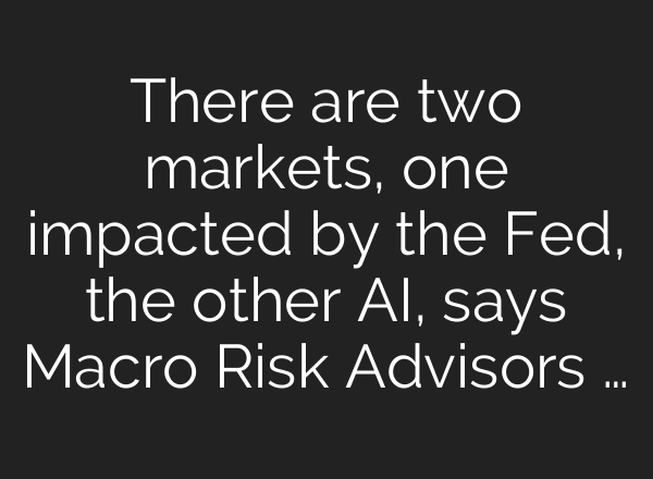 There are two markets, one impacted by the Fed, the other <b>AI</b>, says Macro Risk Advisors …