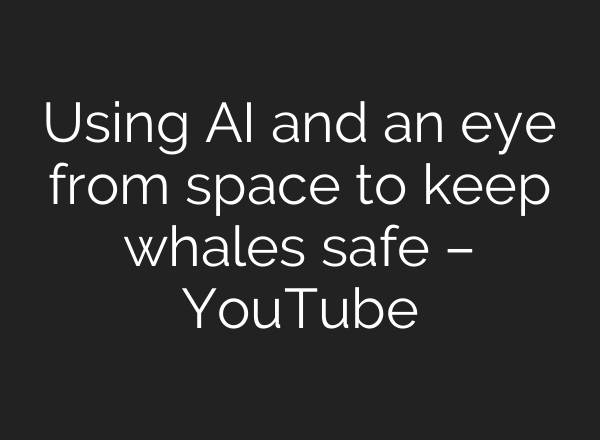 Using <b>AI</b> and an eye from space to keep whales safe – YouTube