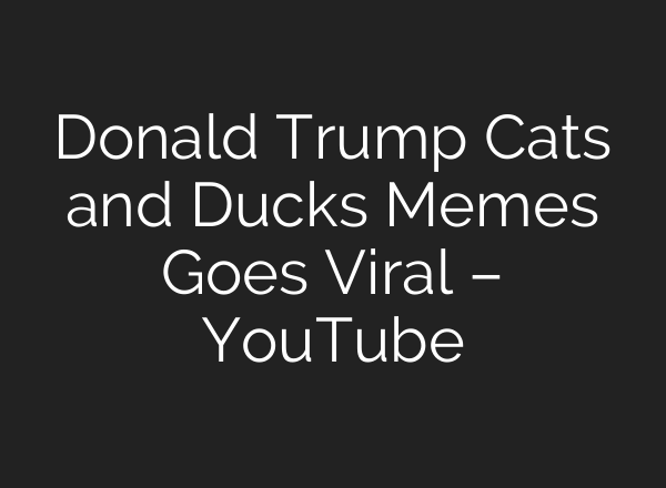 Donald Trump Cats and Ducks Memes Goes Viral – YouTube