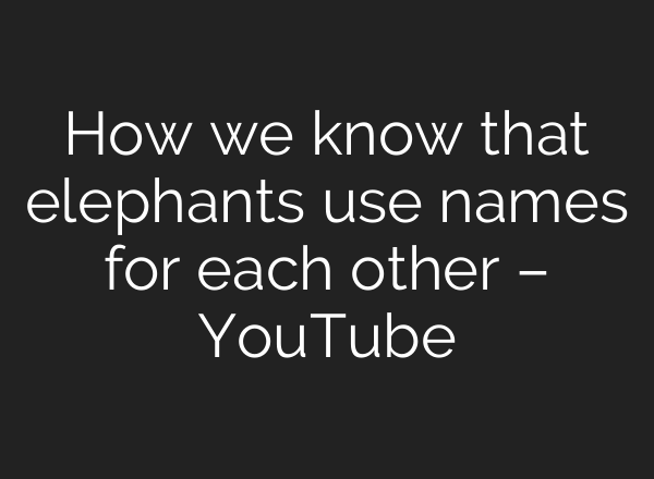 How we know that elephants use names for each other – YouTube