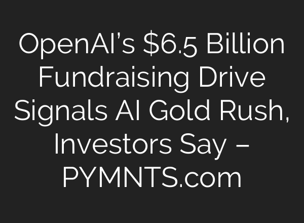 <b>OpenAI’s</b> $6.5 Billion Fundraising Drive Signals AI Gold Rush, Investors Say – PYMNTS.com