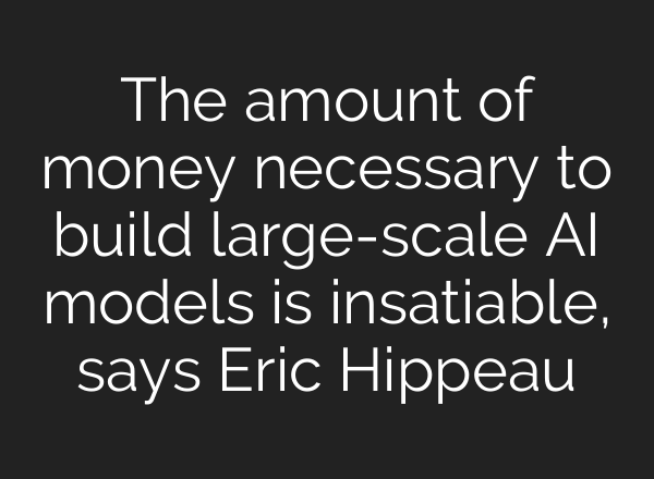 The amount of money necessary to build large-scale <b>AI</b> models is insatiable, says Eric Hippeau