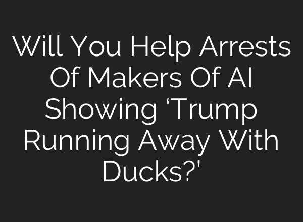 Will You Help Arrests Of Makers Of <b>AI</b> Showing ‘Trump Running Away With Ducks?’