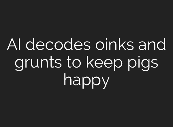 AI decodes oinks and grunts to keep pigs happy