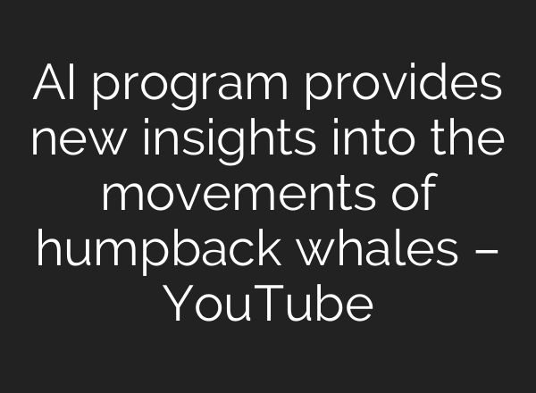 <b>AI</b> program provides new insights into the movements of humpback whales – YouTube