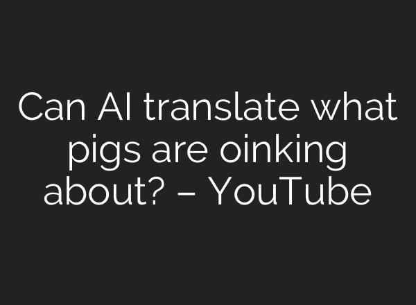 Can <b>AI</b> translate what pigs are oinking about? – YouTube