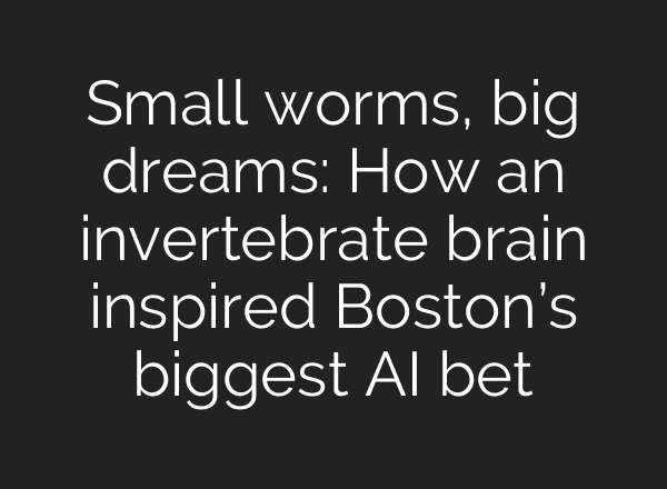 Small worms, big dreams: How an invertebrate brain inspired Boston’s biggest AI bet