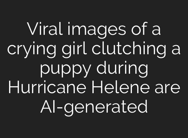 Viral images of a crying girl clutching a puppy during Hurricane Helene are <b>AI</b>-generated