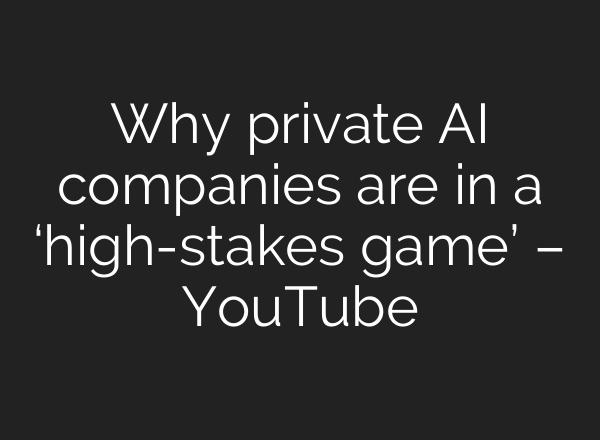 Why private <b>AI</b> companies are in a ‘high-stakes game’ – YouTube