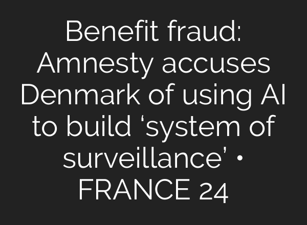 Benefit fraud: Amnesty accuses Denmark of using <b>AI</b> to build ‘system of surveillance’ • FRANCE 24