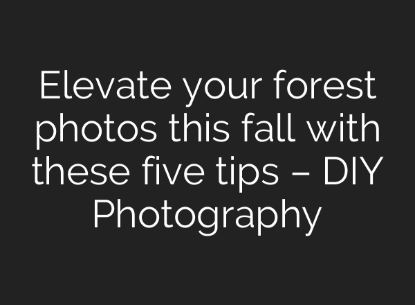 Elevate your forest photos this fall with these five tips – DIY Photography