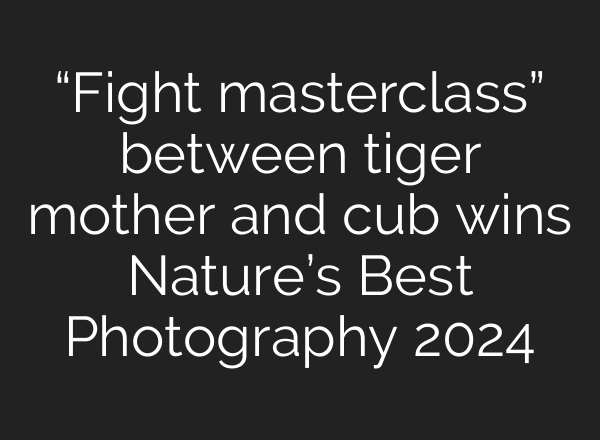 “Fight masterclass” between tiger mother and cub wins Nature’s Best Photography 2024