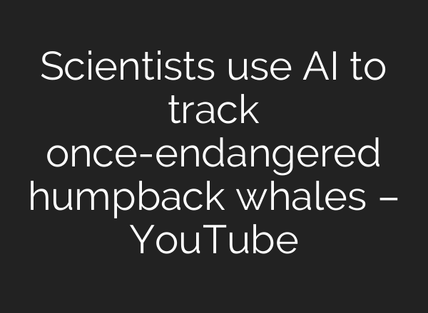 Scientists use <b>AI</b> to track once-endangered humpback whales – YouTube