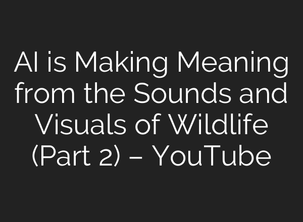 <b>AI</b> is Making Meaning from the Sounds and Visuals of Wildlife (Part 2) – YouTube