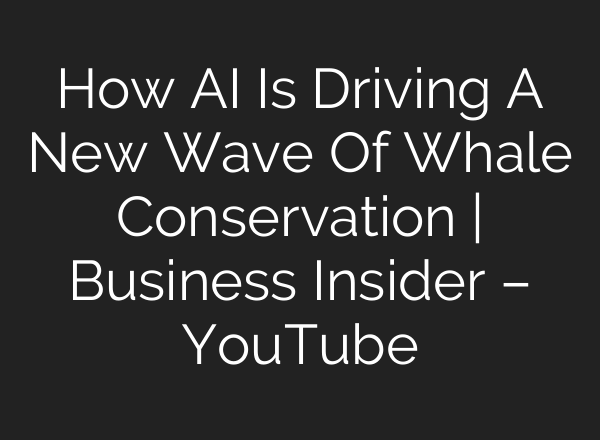 How <b>AI</b> Is Driving A New Wave Of Whale Conservation | Business Insider – YouTube