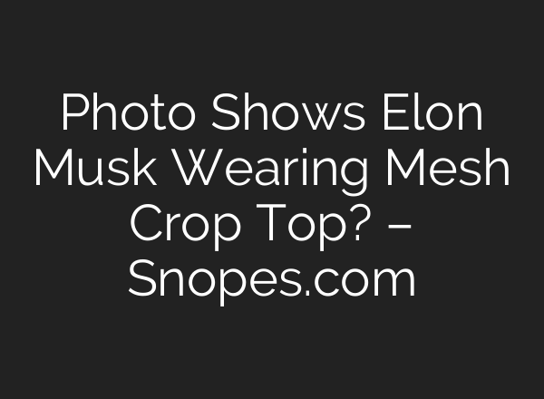 Photo Shows Elon Musk Wearing Mesh Crop Top? – Snopes.com