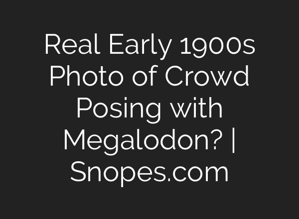 Real Early 1900s Photo of Crowd Posing with Megalodon? | Snopes.com