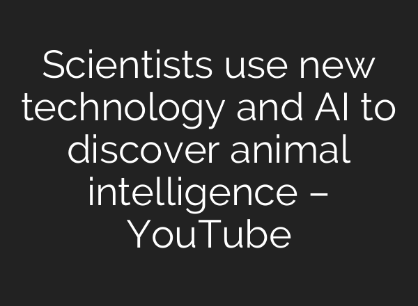 Scientists use new technology and <b>AI</b> to discover animal intelligence – YouTube