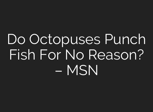 Do Octopuses Punch Fish For No Reason? – MSN