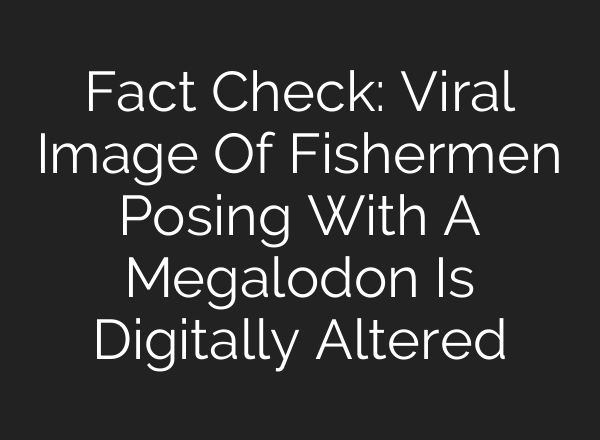 Fact Check: Viral Image Of Fishermen Posing With A Megalodon Is Digitally Altered