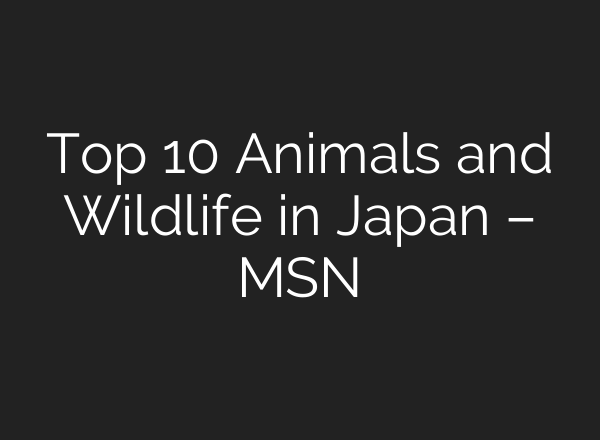 Top 10 Animals and Wildlife in Japan – MSN